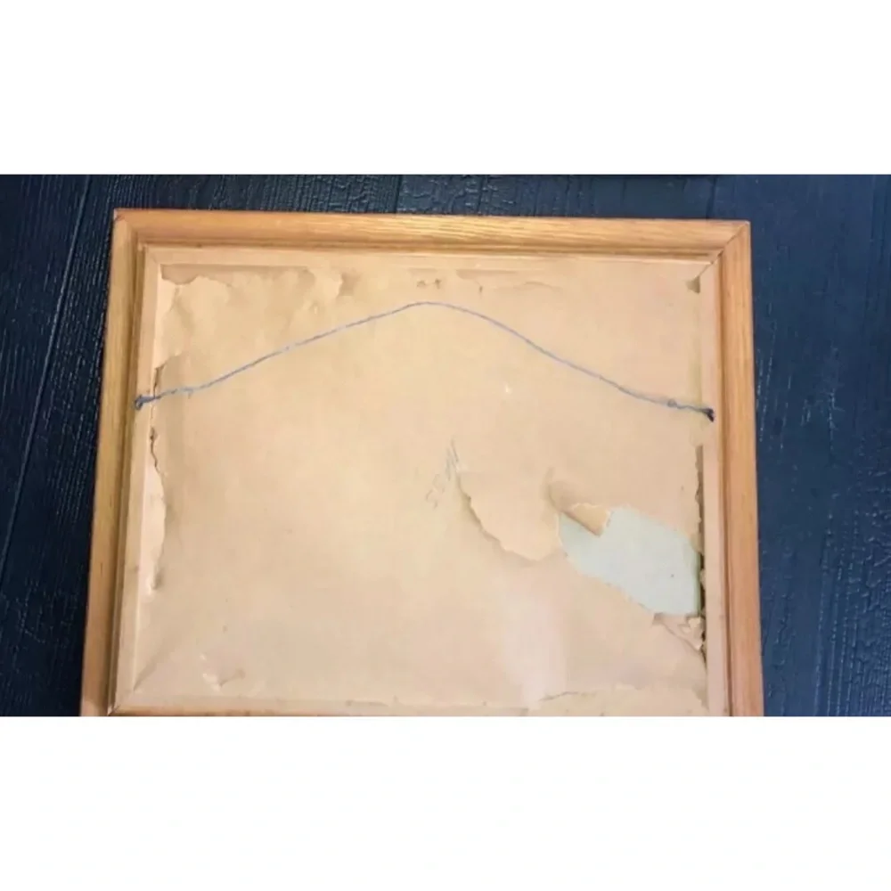 Vintage Art Etchings Drawing Cheetah Framed D.‎  Schwartz